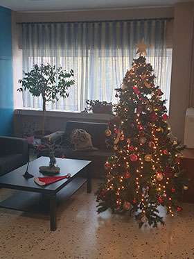 Στολισμός Χριστουγεννιάτικου Δέντρου